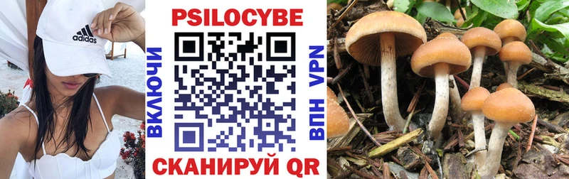 Псилоцибиновые грибы MAGIC MUSHROOMS  цена наркотик  Жигулёвск 